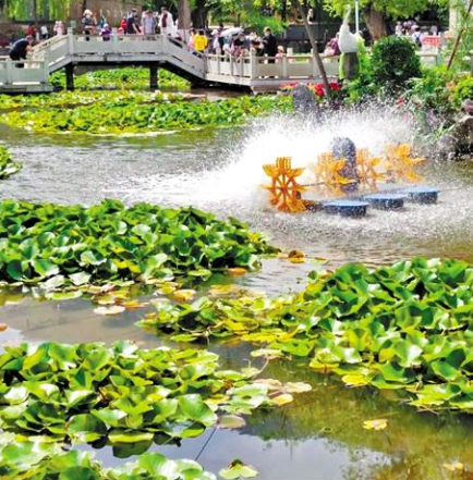 走，到五泉山公園看花展去