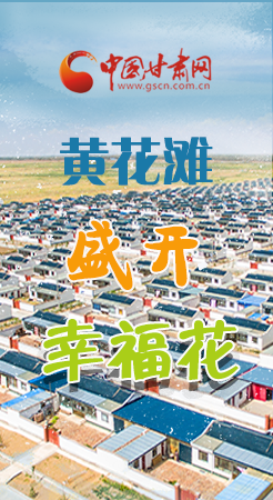 【跟著總書記看甘肅】長(zhǎng)圖|武威黃花灘盛開幸?；?