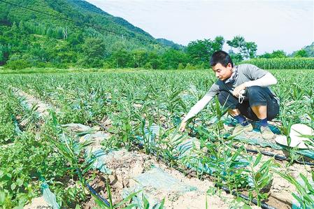 【走向我們的小康生活】安居樂業(yè) 幸?；ㄩ_