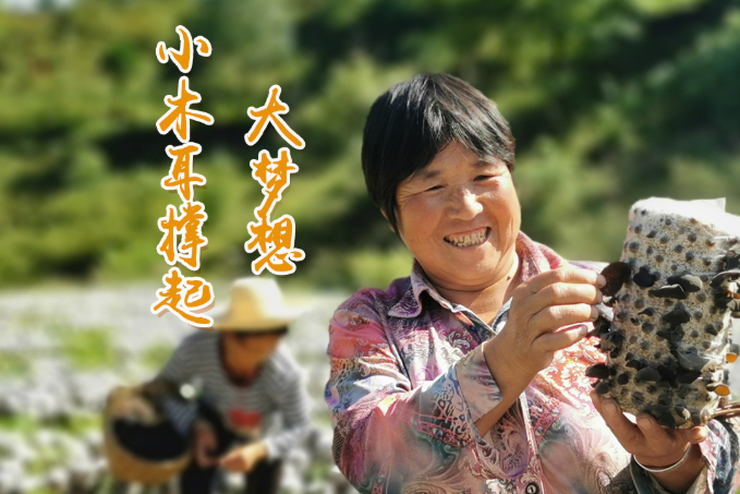 海報丨他們，乘“豐”破浪！