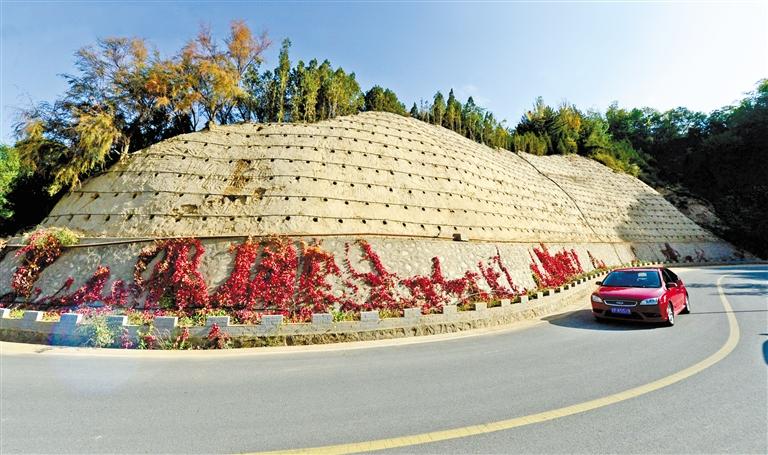 近90度陡坡上種樹！蘭州南北兩山綠化出新招