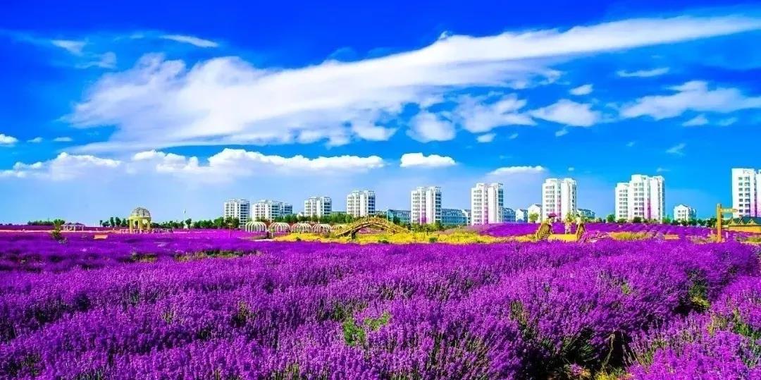 喜訊！金昌蟬聯(lián)全國文明城市
