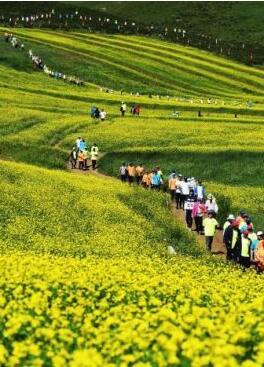 甘肅明確農(nóng)民進(jìn)城落戶:不以退出承包地、林地等為條件