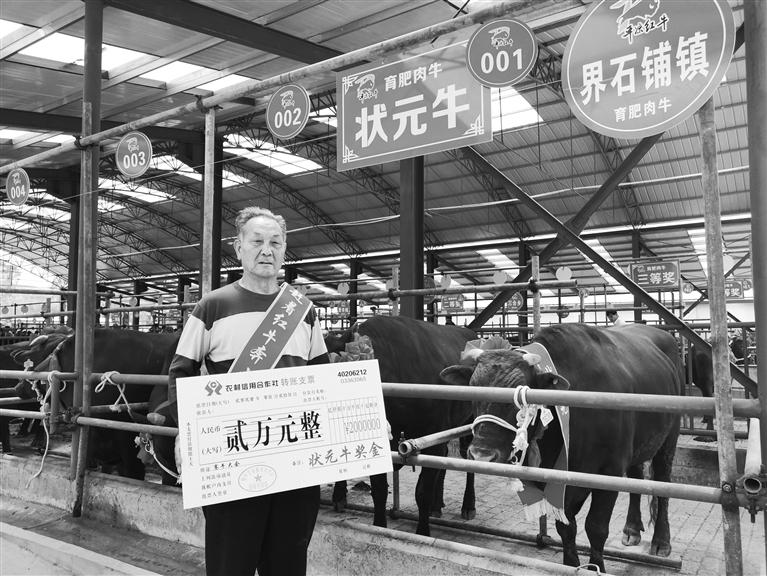 120頭“平?jīng)黾t?！膘o寧爭霸
