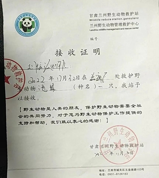 受到救助的池鷺被蘭州野生動(dòng)物保護(hù)站接收。（蘭州市公安局七里河分局供圖）