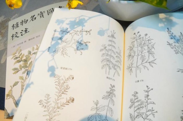 《植物名實(shí)圖考校注》內(nèi)頁。圖片來源：中華書局供圖