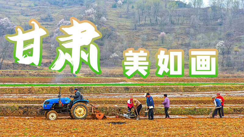 微海報|甘肅，美如畫