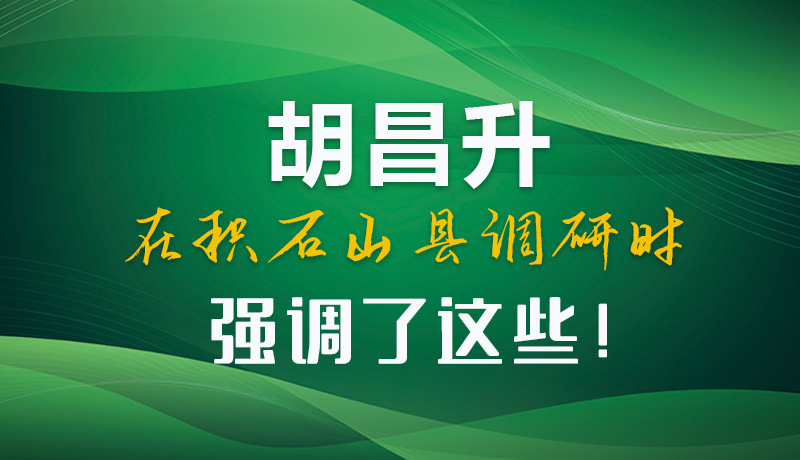 圖解|胡昌升在積石山縣調(diào)研時強調(diào)了這些！