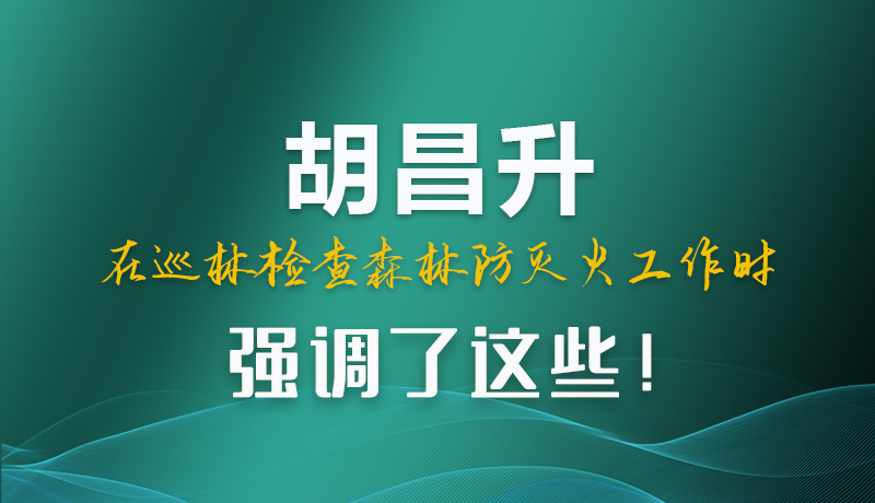 圖解|胡昌升在巡林檢查森林防滅火工作時強調了這些！
