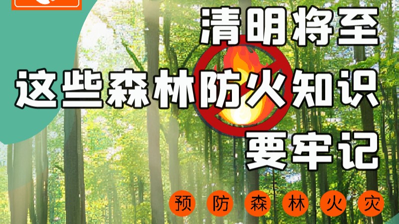 【甘快看】圖解|緊繃“安全弦”！清明，這些森林防火知識(shí)要牢記