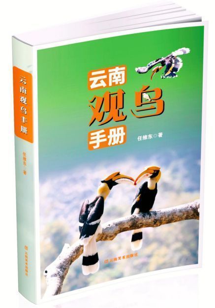 飛鳥的請(qǐng)柬：聽見羽翼劃過彩云之南