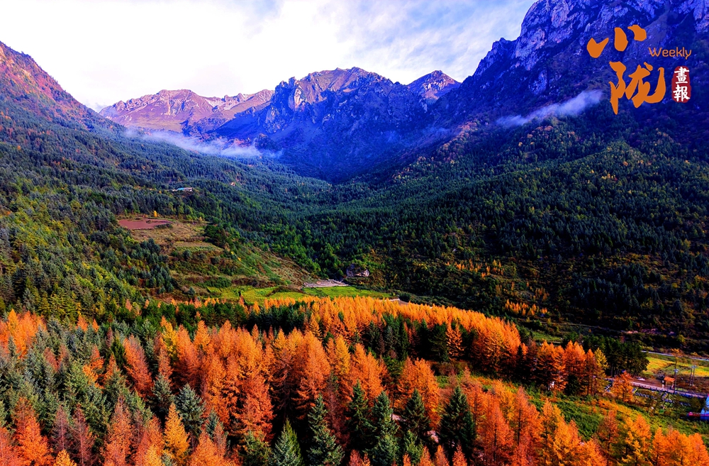 【小隴畫報(bào)·439期】舟曲：絢麗賽爾布 斑斕滿眼秋