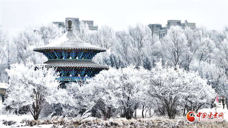 民樂縣雪后霧凇